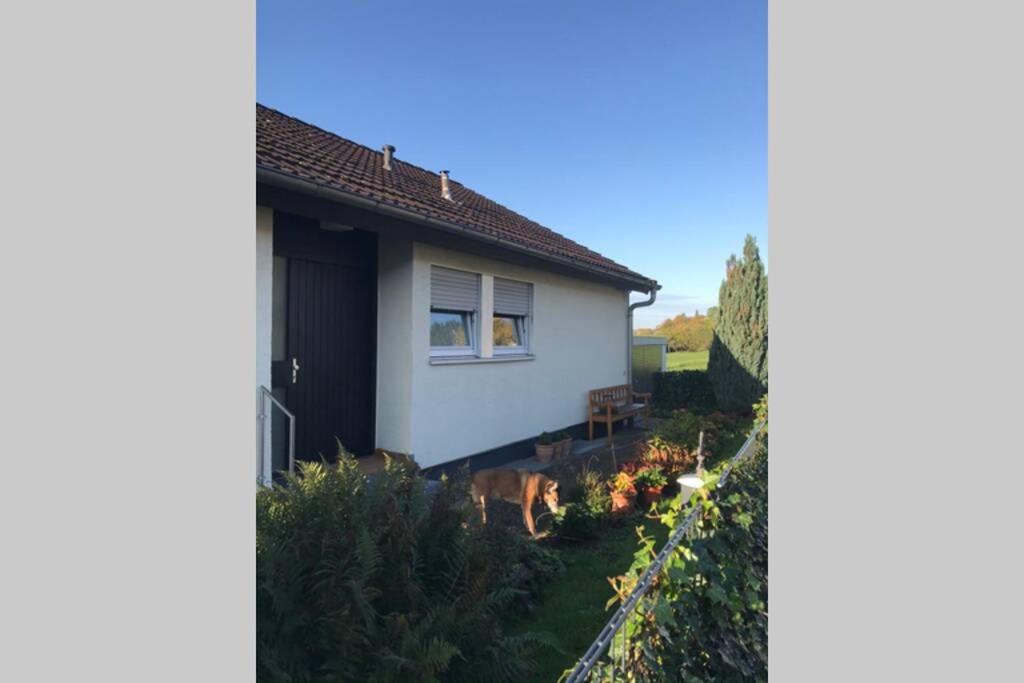 Appartement Region Esslingen - Naehe Messe - Flughafen - Stuttgart - Wohnen Und Arbeiten Auf Zeit In 120M2 Wohlfuehlatmosphaere - Ab 3 Uebernachtungen - Geeignet Fuer 4 Pers Incl Kinder - Beistellbett Moeglich - Kinder Und Tiere Willkommen - Garage F Altbach Exteriör bild