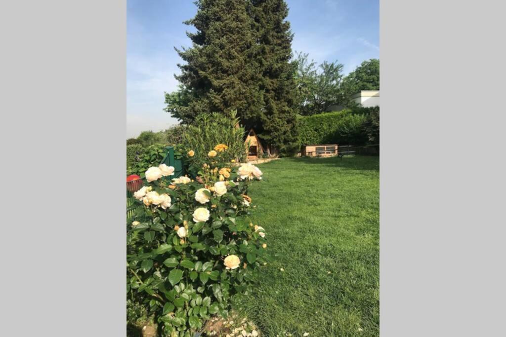 Appartement Region Esslingen - Naehe Messe - Flughafen - Stuttgart - Wohnen Und Arbeiten Auf Zeit In 120M2 Wohlfuehlatmosphaere - Ab 3 Uebernachtungen - Geeignet Fuer 4 Pers Incl Kinder - Beistellbett Moeglich - Kinder Und Tiere Willkommen - Garage F Altbach Exteriör bild
